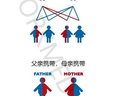 代怀产子~下午做B超是否准确