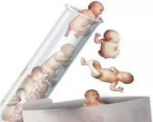 试管贵州助孕中胎停育的原因