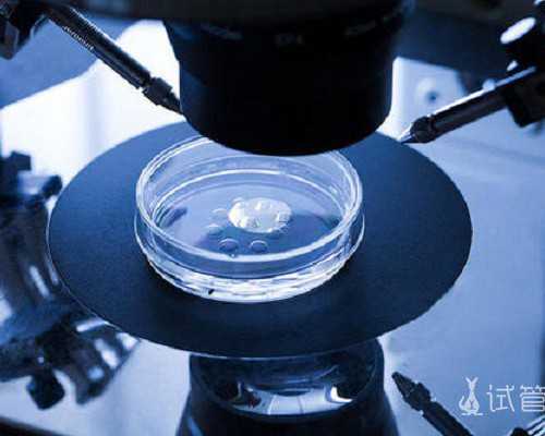 济南代怀龙凤胎 济南试管婴儿多少钱？为什么每个人花销不一样？ ‘孕期症状