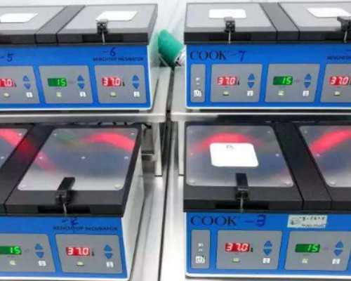 女人代怀~盆腔内膜异位症影响做试管么