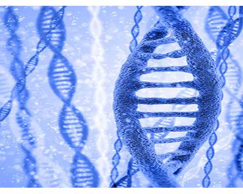 济南代生哪家优惠,济南做试管婴儿的医院好大夫如何寻找？哪些是好大夫-解乃