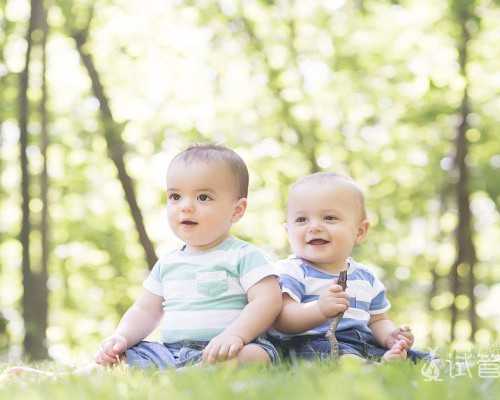 济南供卵盲选好吗,广州试管和济南试管哪里好_济南做试管哪个医院好2024