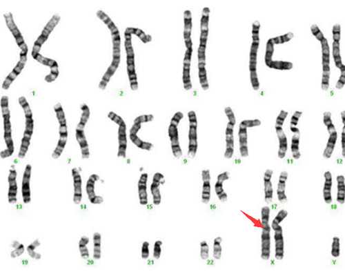 济南供卵正规机构,去济南哪里做试管婴儿好？哪些医院可以选择？