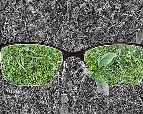 移植了，接我宝回家了