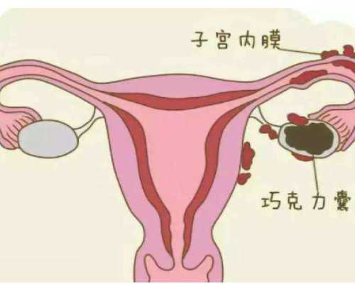 济南靠谱供卵代孕,中山人民医院试管婴儿成功率是多少？一次试管能成功吗？