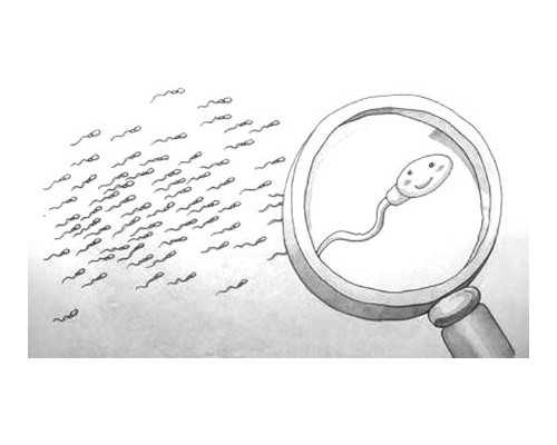 济南医院代孕费用,济南省立生殖医院试管,济南省立生殖医院最好专家