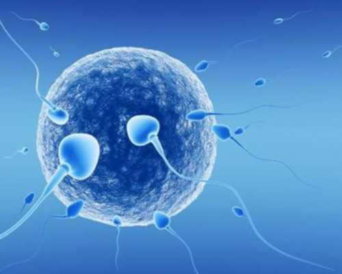 【济南三代供卵试管医院推荐】济南供卵试管助孕真实案例分享