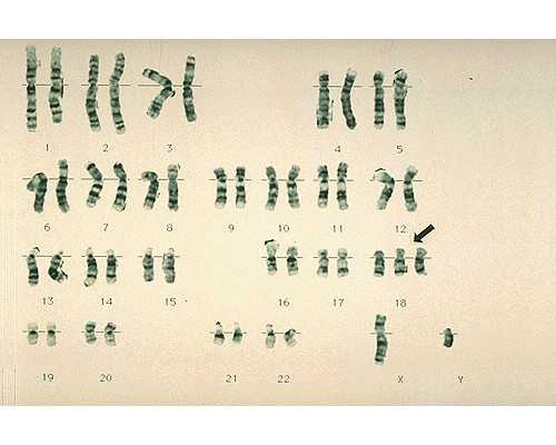 济南做代孕最好的医院,济南供卵微信群_济南微信交友群