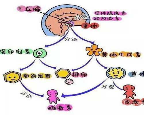 人工贵州助孕后注意事项有哪些
