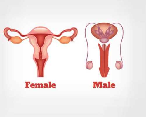 济南哪家医院代生 济南供(借)卵试管婴儿医院排名更新 ‘b超照片如何看是女儿