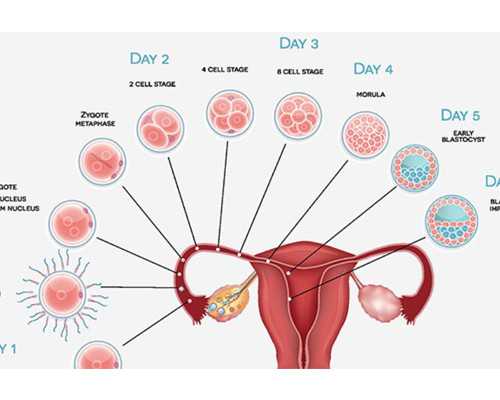 23年济南私立供卵机构优选：试管医院排行榜