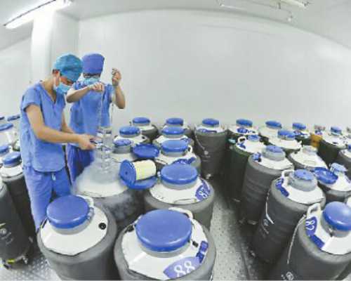 济南专业供卵电话,山东济南可以做三代试管公立医院有哪些_试管婴儿促排卵打