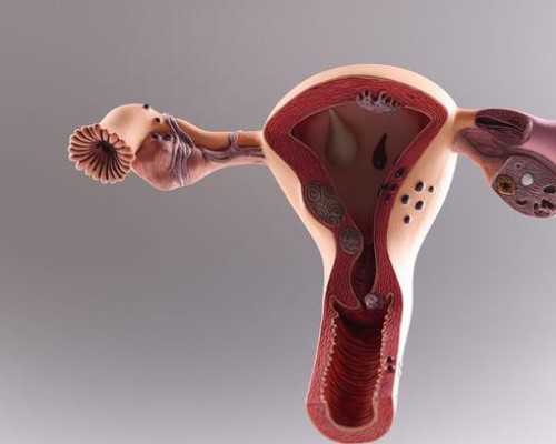 济南试管选性别案例 济南山大生殖医院等卵源可以花高价插队吗 ‘32周双顶径