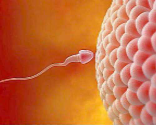 济南中国三代试管,济南2024年国家规定产假多少天?济南最新国家产假规定？