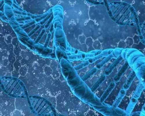 济南高端代孕医院,济南山大生殖做试管费用，济南山大生殖做试管费用有哪些