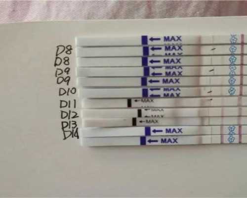 济南供卵供精医院 山东济南大学生殖附属医院做试管成功率怎么样？ ‘彩超报