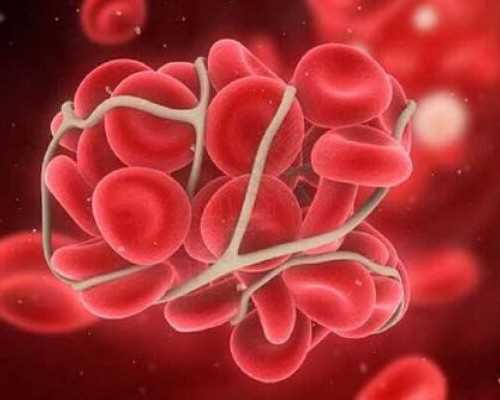 amh0.01永远幸取卵