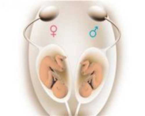 济南供卵代怀费用 影响济南山大生殖医院供精试管费用的因素 ‘通过孕囊形状