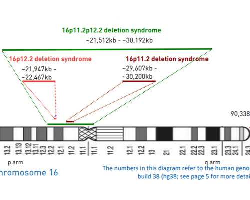 济南代生专业吗,济南90医院供卵金贵子华人知名rn