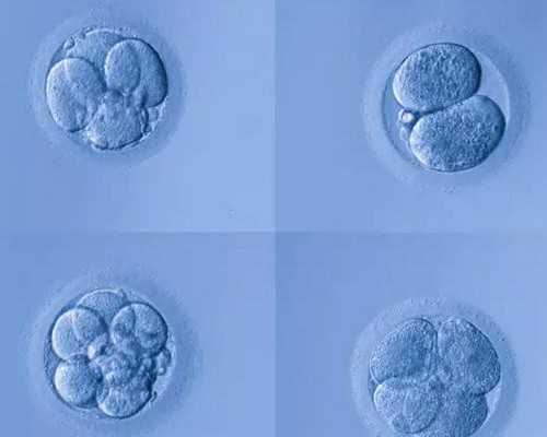 济南早衰供卵成功,济南理想新城,济南理想新城是公寓吗