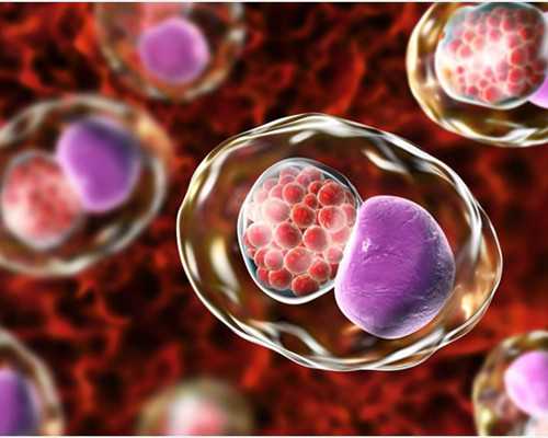 试管贵州助孕中胎停育的原因