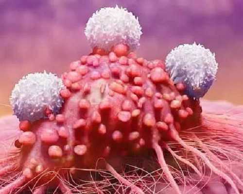 一文了解试管贵州助孕所需证件