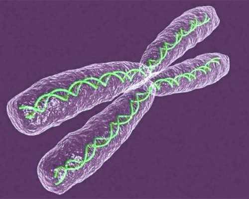 济南最好代孕公司,济南供卵试管婴儿费用,黄冈供卵试管婴儿