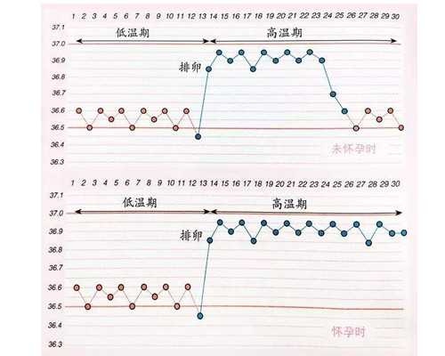 济南咨询代孕专家,想知道济南第三代试管婴儿医院前十名是哪些