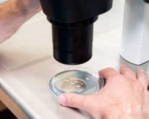 美国试管婴儿可以避免生化妊娠吗？