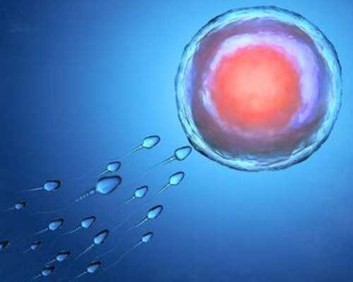 济南私人找代孕 济南试管婴儿医院排行有哪些？哪家医院比较不错？ ‘孕囊大