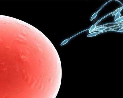 济南三代试管可以看男女吗 济南妇幼保健院做试管婴儿多少钱? ‘彩超双顶径怎