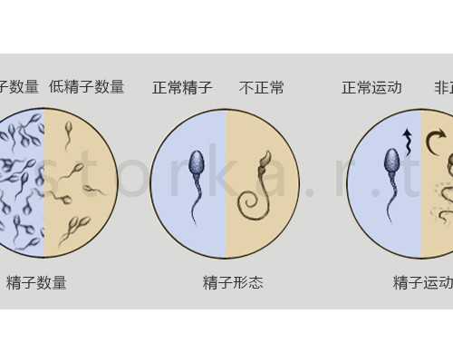 济南哪家代孕机构靠谱,山东济南试管婴儿医院排名
