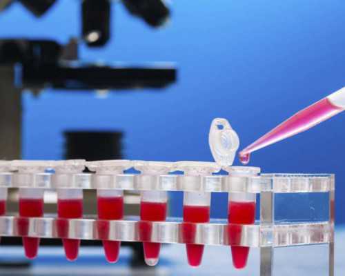 高龄女性贵州助孕策略