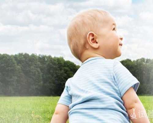 泰国主要试管婴儿医院-有偿招聘捐卵