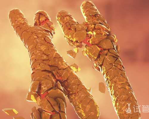 胚胎移植后吃梨子对着床的影响?胚胎移植后还真能吃梨子