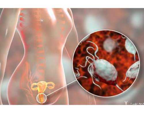 哪里有济南专业供卵中心 济南不孕不育医院推荐 ‘三个月的胎儿彩超单怎么看