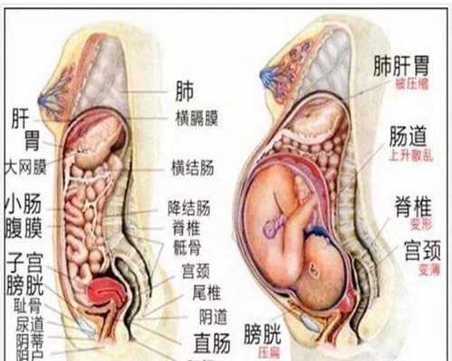 贵阳代孕菲律宾_实施胎教的婴幼儿有哪些特点