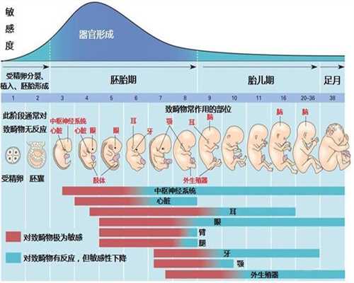 贵州代孕-贵州中国六个试管微信组，试管婴儿已经确认最多45岁