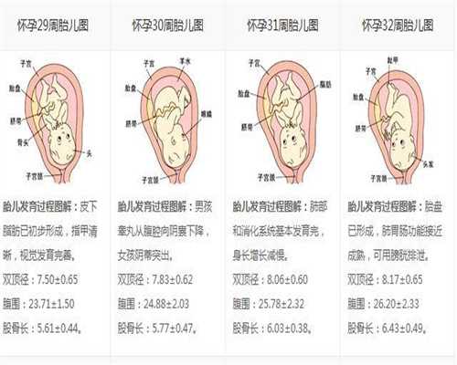 贵州代孕-贵州中药附着于试管宝宝，温州附属于第三代试管婴儿