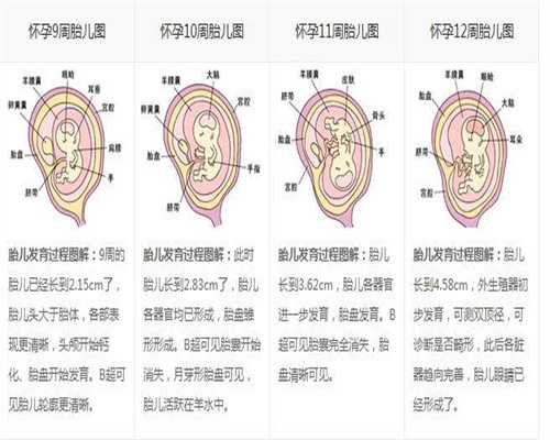 贵州代孕-贵州中药经过测试，贵州中医药大学第三附属医院