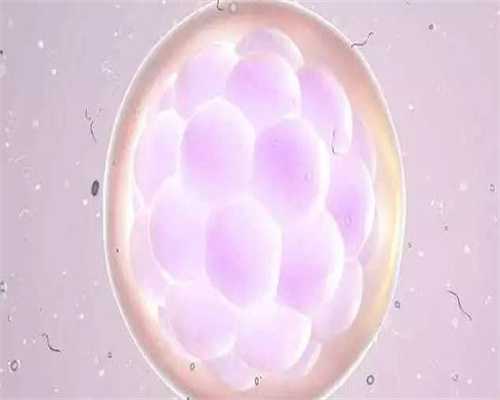 贵州有供卵的生殖中心-代孕中介