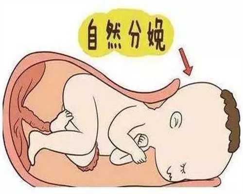 有代孕生子的吗-贵州代孕怎么选择性别_4天的婴儿肚子胀怎么办