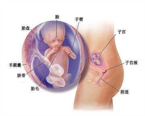 贵州试管代孕的成功率怎么样-代孕医生咨询_宝宝荨麻疹抹什么
