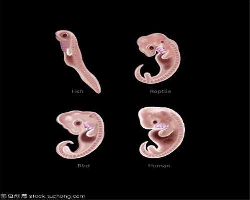 代孕二胎费用-贵州试管供卵中介骗局_什么是宫颈粘连？宫颈粘连会影响怀孕吗？
