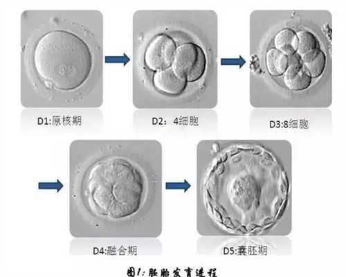 贵州代孕哪家比较可靠-分享代孕之旅_富德去杭州妇幼做助孕试管多少钱？一次