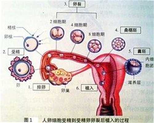 贵州代孕机构有哪些-代孕产子医院_三门峡市月子中心坐月子怎么样 月子中心和