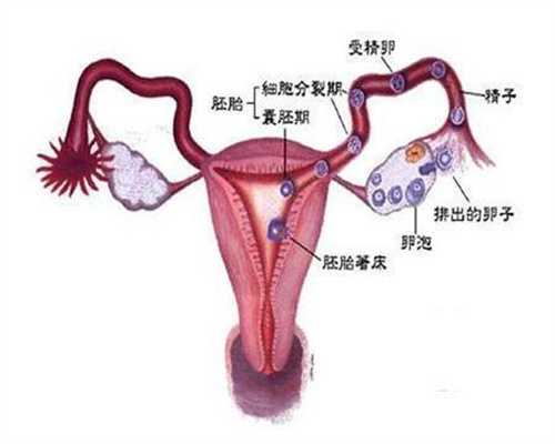 贵州代孕机构有哪些-代孕产子医院_三门峡市月子中心坐月子怎么样 月子中心和